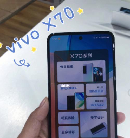 如何查看vivo手机的型号（掌握这些方法）