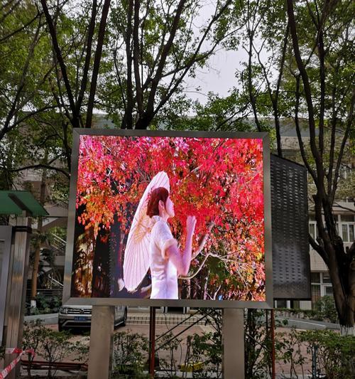博诺安壁挂炉P5故障现象及解决方法（了解博诺安壁挂炉P5故障的原因和解决方案）