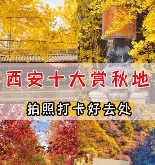 2022年手机拍照排行榜前十名有哪些？这些手机拍照效果如何？