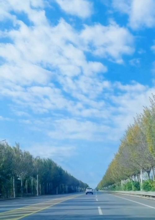 如何用手机在路上拍出清晰照片？