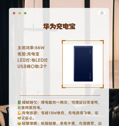 智国者充电器的性能如何？与充电宝搭配使用效果好吗？