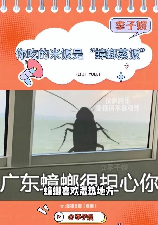 电饭煲跑进了蟑螂，如何处理（解决电饭煲内蟑螂问题的有效方法）