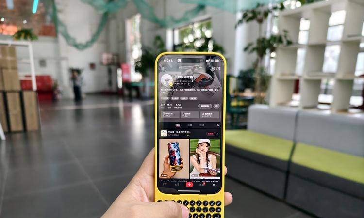 图源：不客观实验室