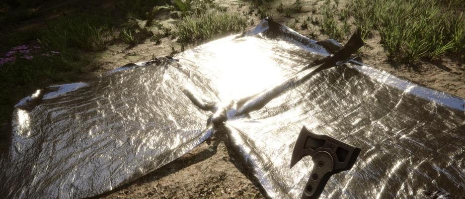 森林游戏切换主机模式的方法是什么？操作步骤有哪些？